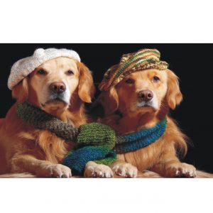 Painel Adesivo Animais Pet Cachorro Dog J65