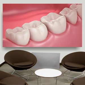 Painel Adesivo Dentista Dentes S171