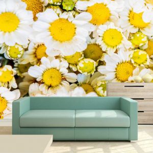 Painel Adesivo Flor Flores Margarida GG862