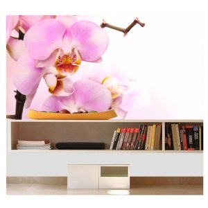 Painel Adesivo Flores Orquídeas Flor P33