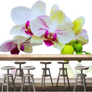 Painel Adesivo Flores Flor Orquídea GG455