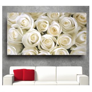 Painel Adesivo Flor Flores Rosas S42