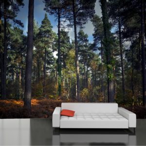 Painel Adesivo Natureza Floresta Árvores GG265