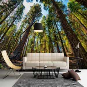 Painel Adesivo Natureza Floresta Árvores GG283