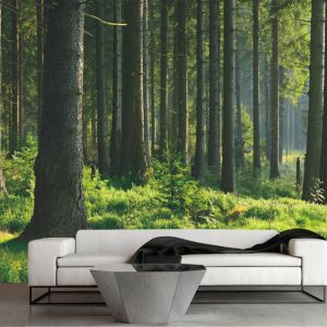 Painel Adesivo Natureza Floresta Árvore GG351