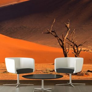 Painel Adesivo Natureza Deserto Paisagem GG379