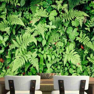 Painel Adesivo Parede Viva Folhagem Tropical GG755