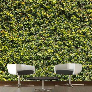 Painel Adesivo Parede Viva Folhagem Tropical GG781