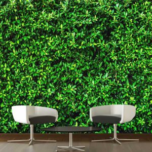 Painel Adesivo Parede Viva Folhagem Tropical GG828