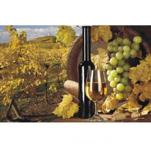 Painel Adesivo Bebida Vinho Vinícola J200
